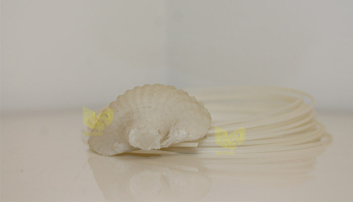 فیلامنت صدف فیلامنت صدف